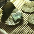 小青蛙