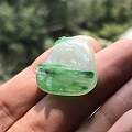海豚湾恋人