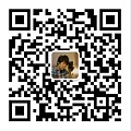 医神现货。独立设计“Berry”小果实。日本粉光Akoya珍珠18K耳钉
