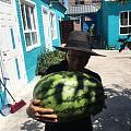 水个红包，今年吃的最大的一个瓜