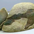 普通的大马坎翡翠原石，切开后竟是“福、禄、寿”三彩翡翠，暴涨十倍
