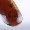 印象琥珀蜜蜡工厂 始于本心源于自然 【缅甸棕红虫珀】内含无数不知名飞虫