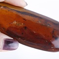印象琥珀蜜蜡工厂 始于本心源于自然 【缅甸棕红虫珀】内含无数不知名飞虫