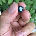 尖晶石孔雀蓝