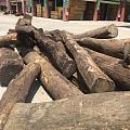 刺猬紫檀走货十分顺畅 非洲木材来自中国的订单增多