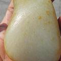新疆和田玉籽料原石保真支持复检黄沁皮白玉把件籽