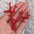 日本阿卡红珊瑚树形摆件 整树无拼接 投资收藏