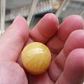 转一颗直径22+的波罗的海鸡油黄大桶珠