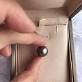 黑珍珠