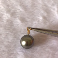 黑珍珠