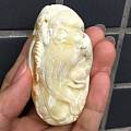 白花蜜寿公星