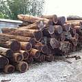 印度计划降低对进口木材的依赖