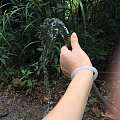 坛子里的美眉手上收来的，虽然小条了点，但是够冰条，越看越喜欢