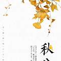秋分到！这片秋天的落叶竟然可以这么美