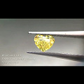 【新货 GIA 心形黄钻】
参数：GIA 0.50CT Fancy Inte...