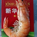 渤海特产~对虾