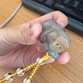 给我的小神兽编好绳子啦