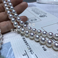 【来，我们聊聊akoya】akoya珍珠和淡水珍珠一样，是珍珠的一个种类，都...