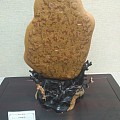 刚在魔都看了个奇石展