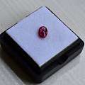 红宝石 缅甸抹谷产纯天然椭圆型0.48克拉浓彩红色红宝石