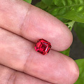 小精品红尖晶