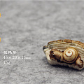 新作品-蜗牛