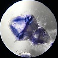 一枚比较大的萤石包裹体水晶，拍了很多显微照片