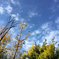 水红包