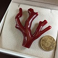 阿卡珊瑚树形