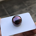 极品紫罗兰黑珍珠