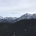 好像闹了个乌龙，雪景傻傻分不清