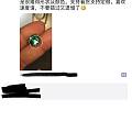 新人求指教，两颗祖母绿，哪颗可以入手。