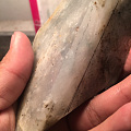 新开的小砖块