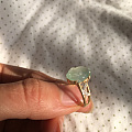 过年打麻将的招财神器 富贵竹➕金蟾 无敌了 哈哈