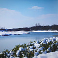 好多人发雪景，我也发个自己拍的南京的雪景哈，雪太大，只能在家门口附近拍拍啦