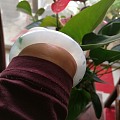 本来想给自己整个冰透的回家过年，结果没整成