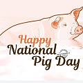 从1972年起，每年的3月1日是美国的“National Pig Day”，