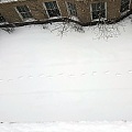 大雪光临芝加哥