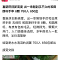 出闲置好累人的说，和田籽料原石手串再出一次