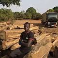 国际木材市场叫急，国内木材市场步入上行通道，2018注定是一个动荡不安的一年！
