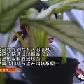 女子价值5万钻戒被寄丢 派件员:包裹被风吹走了