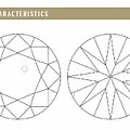 GIA的钻石净度特征图