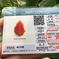 科普贴，小藏又来啦，
