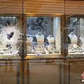 香港中环珠宝店劫案告破：南美三劫匪十秒劫4000万