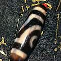 朱砂两眼天珠。111140/12mm，并蒂莲理，夫妻恩爱，事业有成；