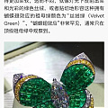 蝴蝶🦋效应，美丽的木佐蝴蝶