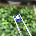 蓝瘦香菇