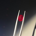 无烧鸽血红 很美