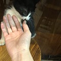 新欢旧爱