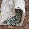 工地发现2000年前钱窖 挖掘古币400斤